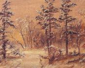 Winter-Woodland - 杰西裴·弗朗西斯·克罗普赛